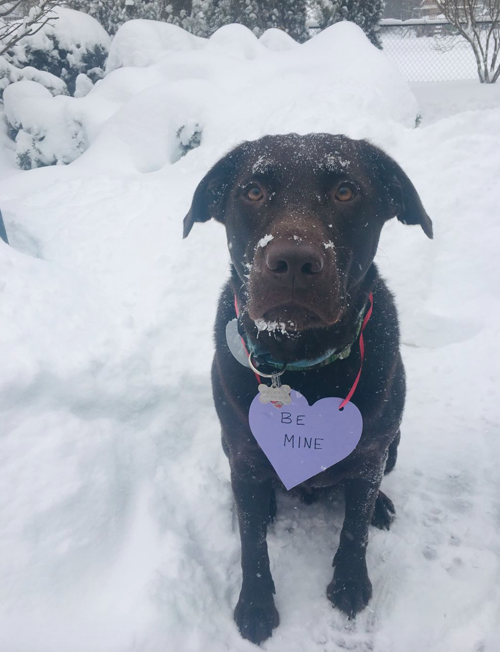 Shapes Etc. Foam Shapes – Soft Craft Cutouts for Creative Projects (15 Sheets per Pack)